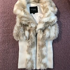 Winter vest